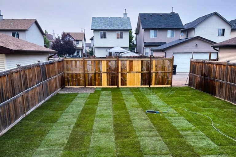 How to Take Care of Sod After Installation: The Ultimate Guide for a Healthy Lawn